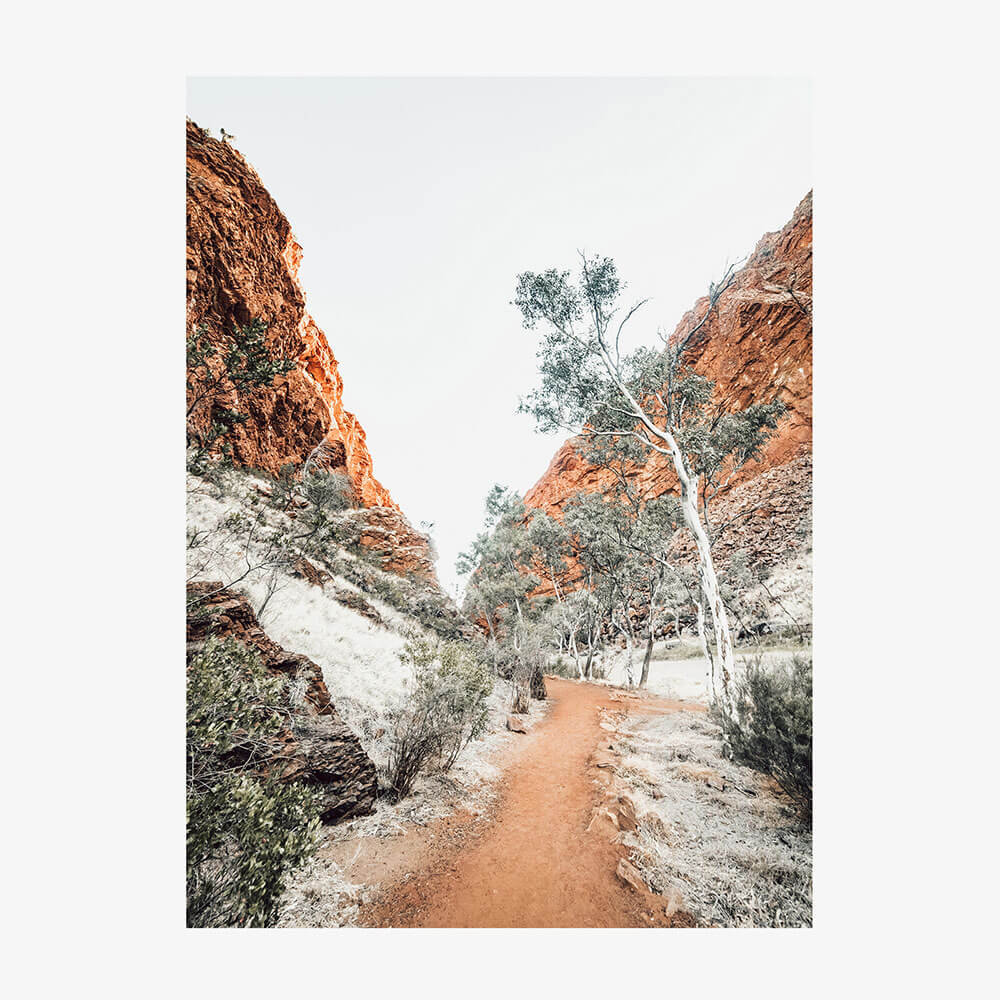 Red Rock Path
