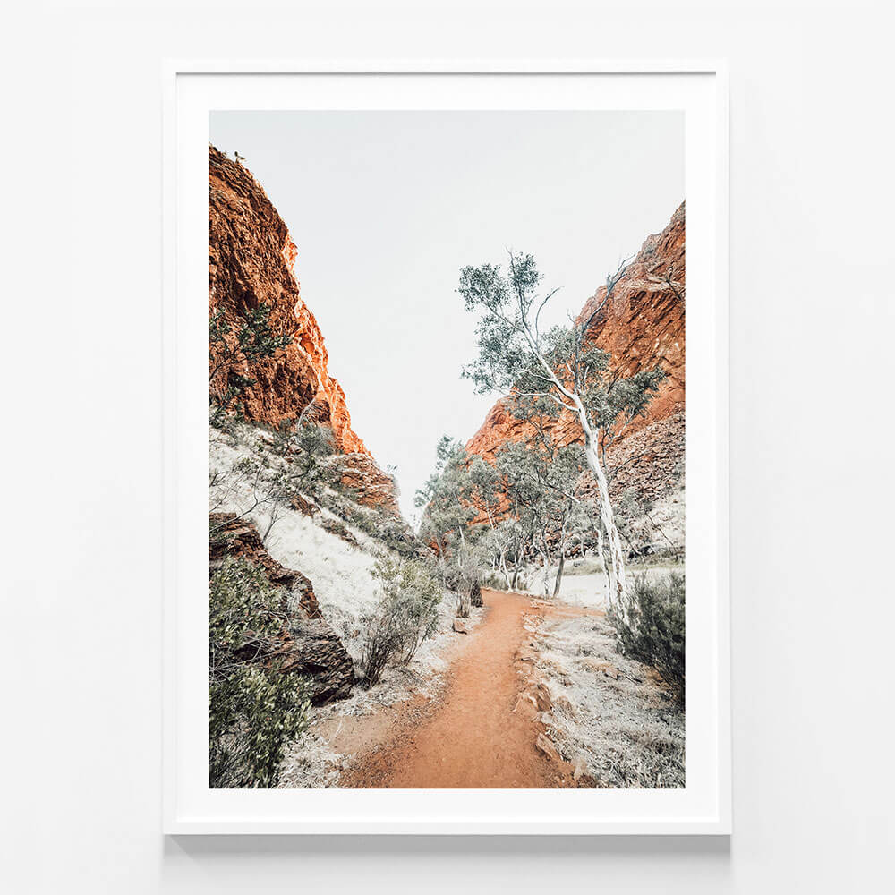Red Rock Path