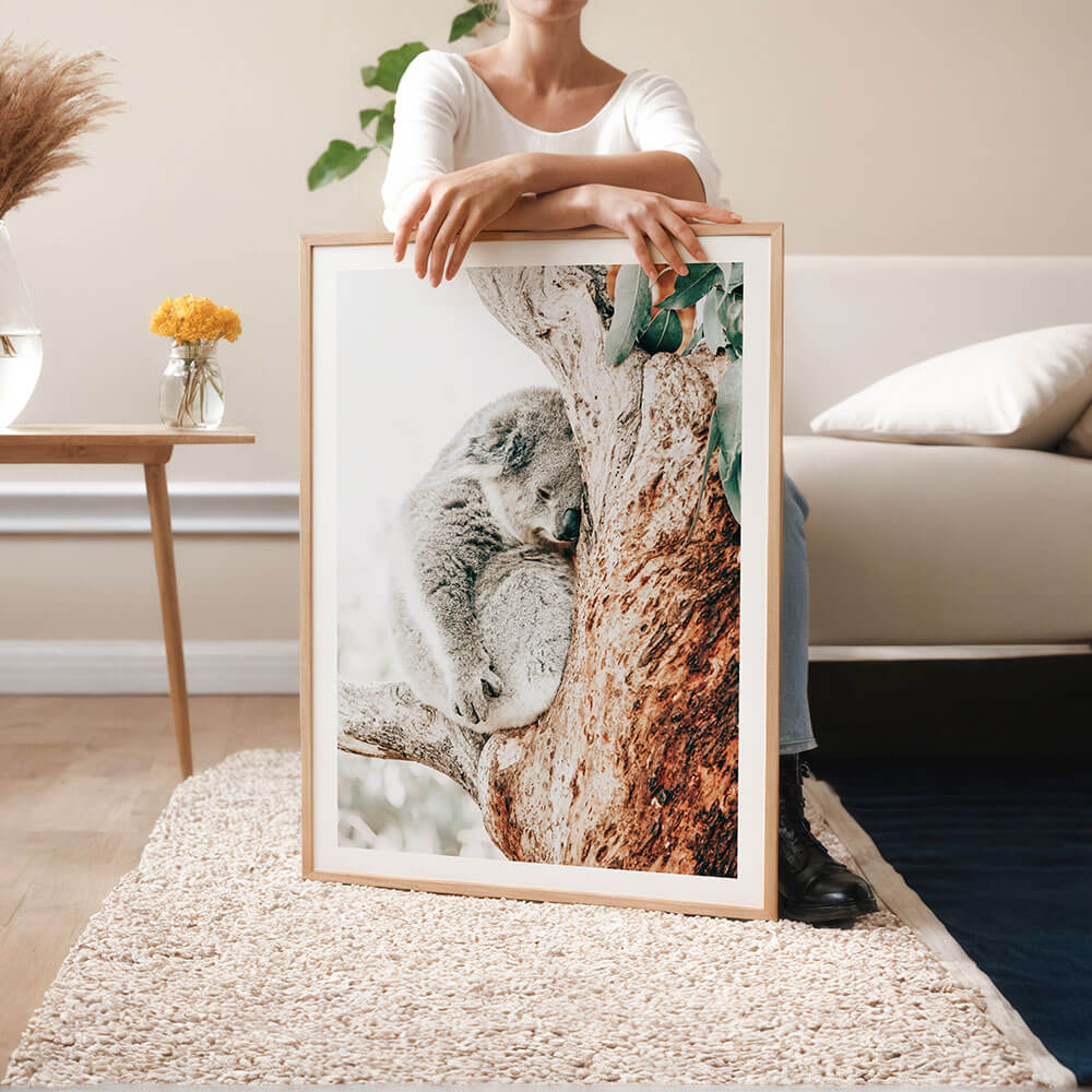 Resting-Koala-Australian-Wall-Art.jpg