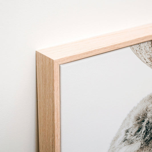 Resting Koala Canvas corner detail