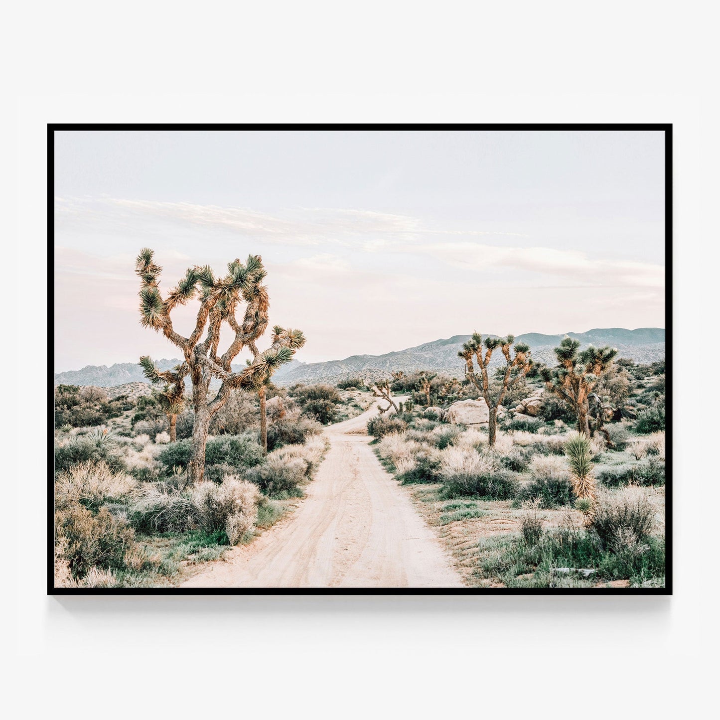 Rimrock Mountains Canvas