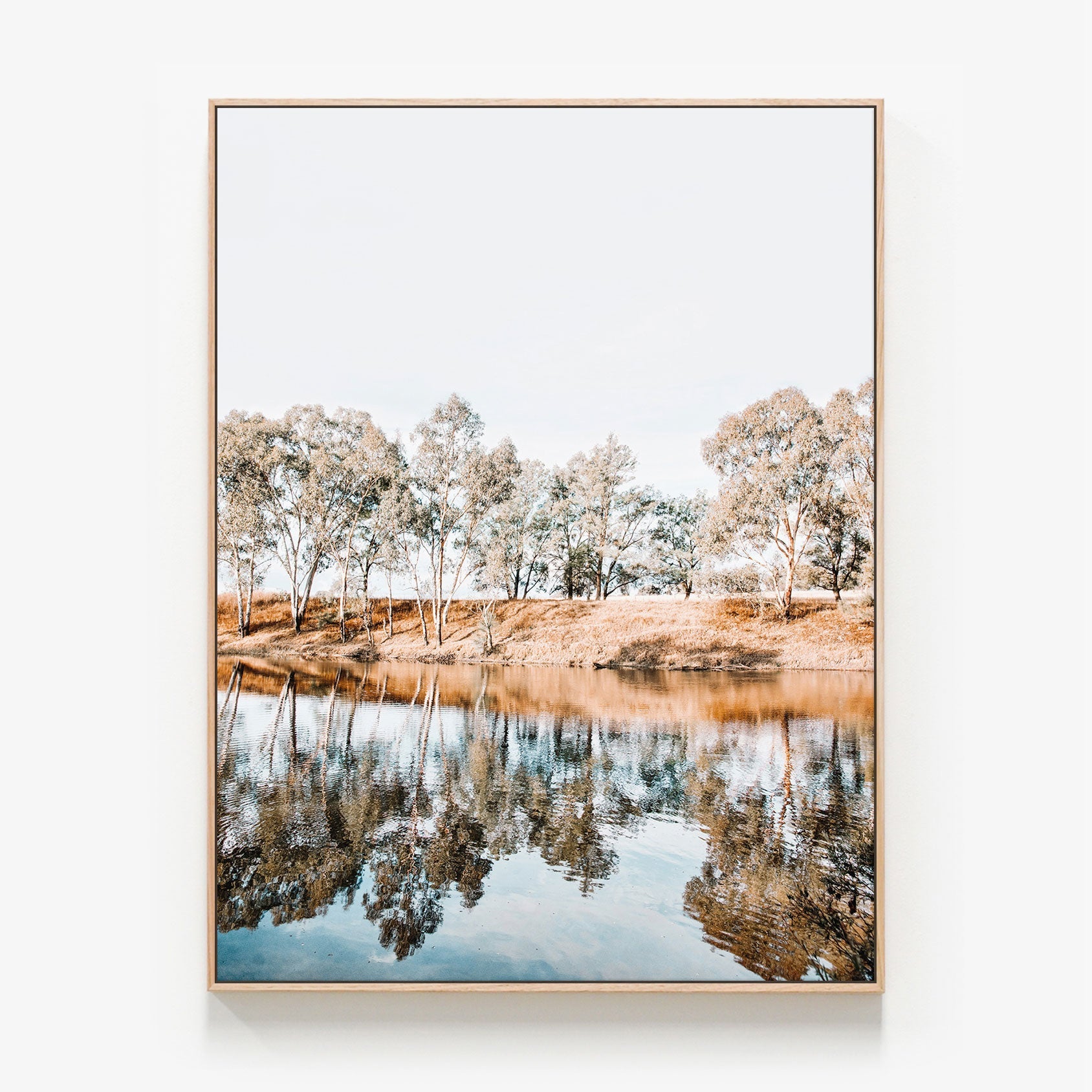 Australian gum trees along the river banks photo canvas wall art print with oak float frame