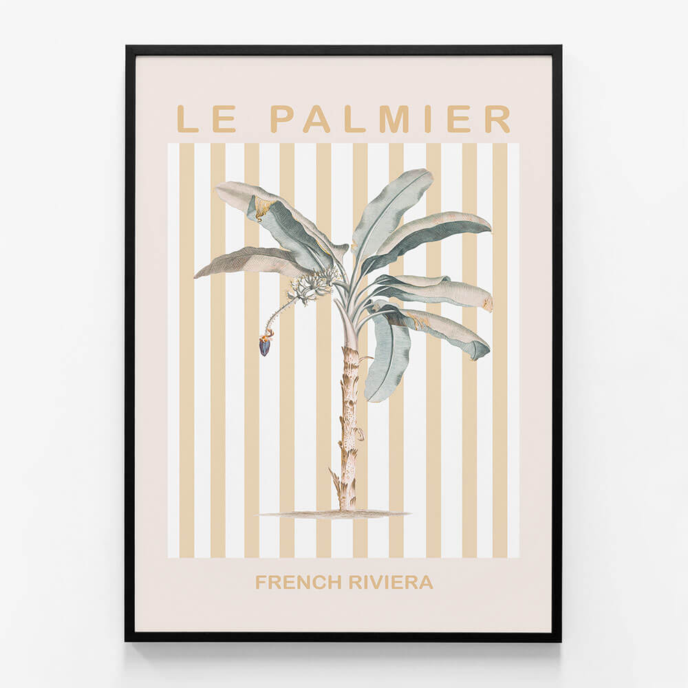 Riviera Palm Tree