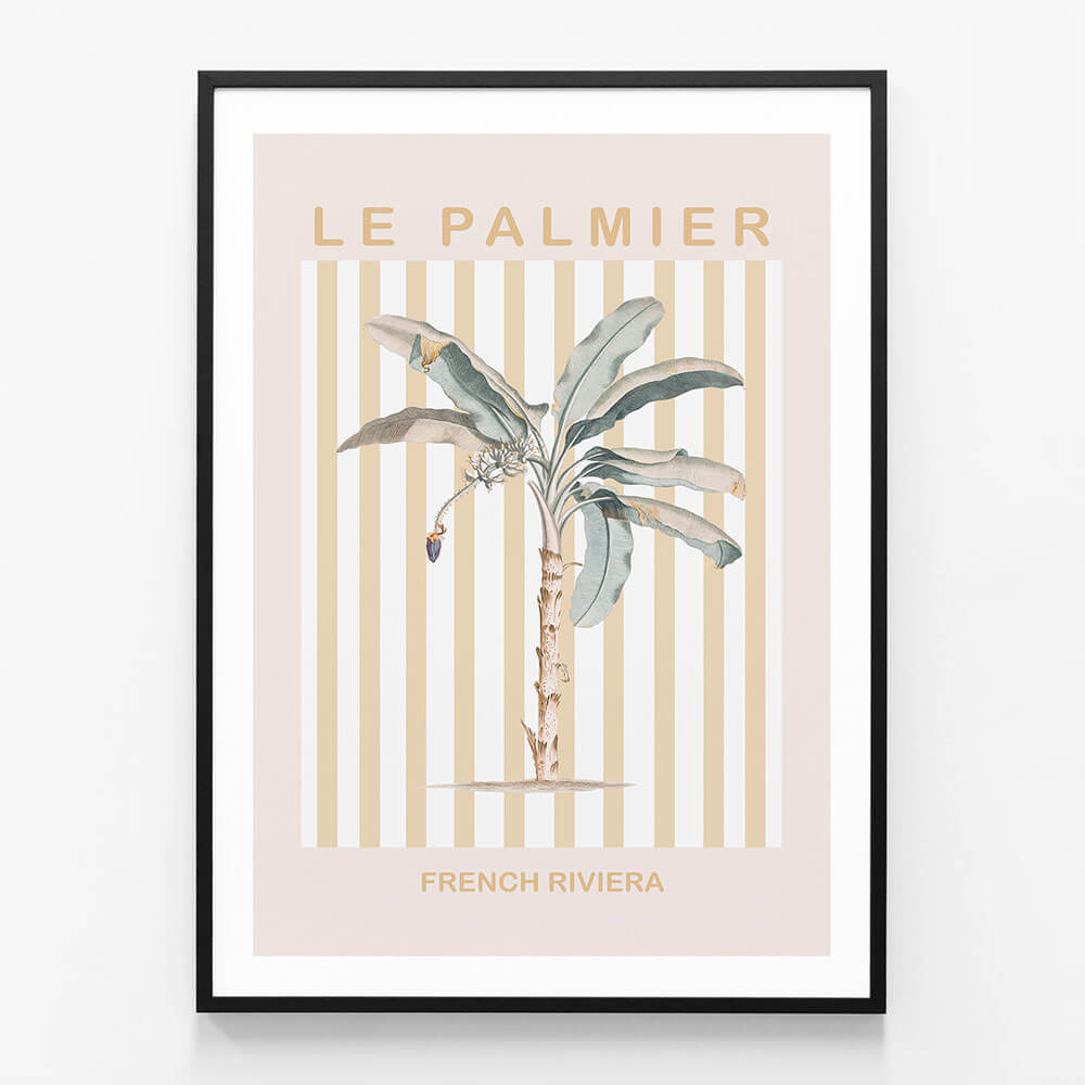 Riviera Palm Tree