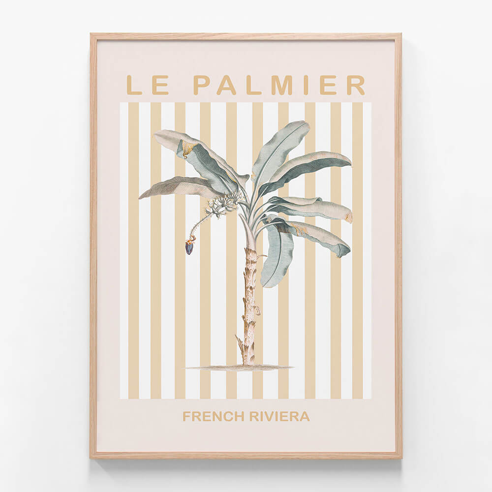 Riviera Palm Tree