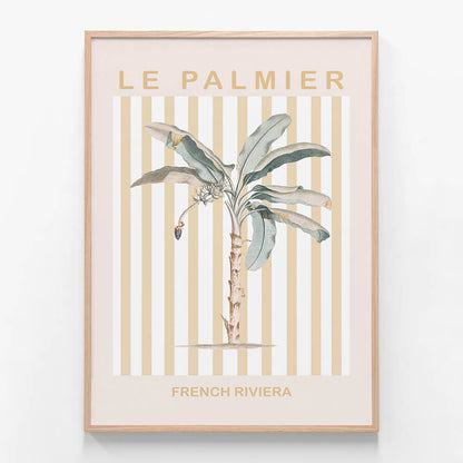 Riviera Palm Tree