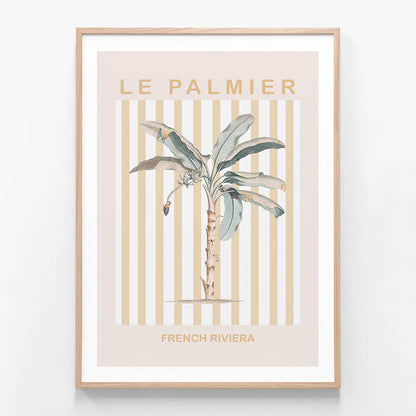 Riviera Palm Tree