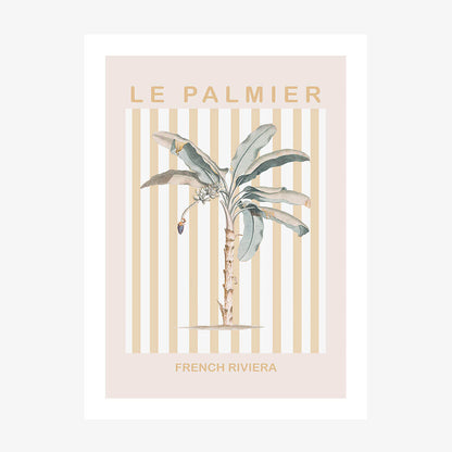 Riviera Palm Tree