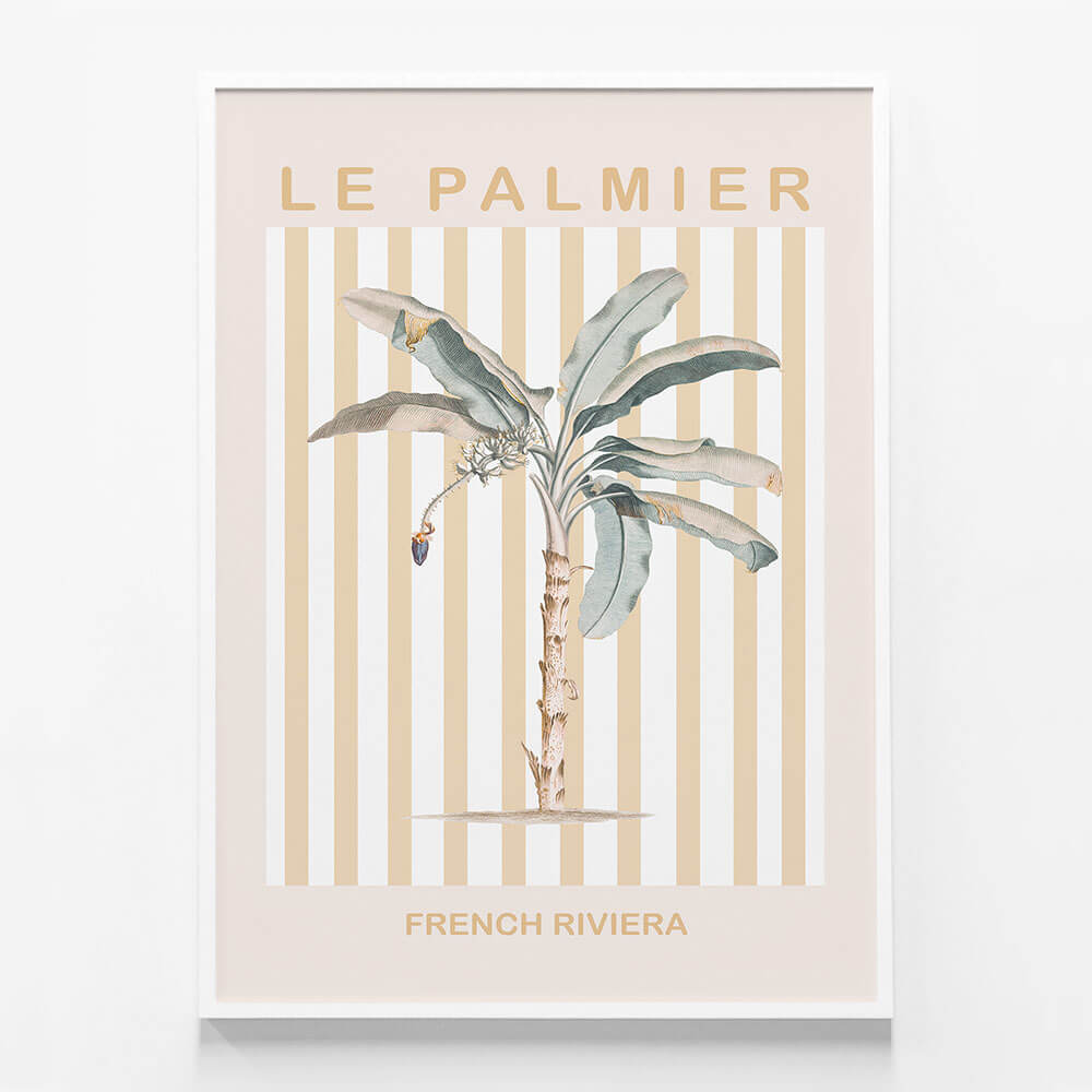 Riviera Palm Tree