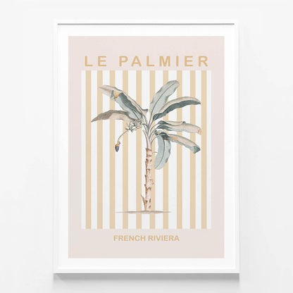 Riviera Palm Tree