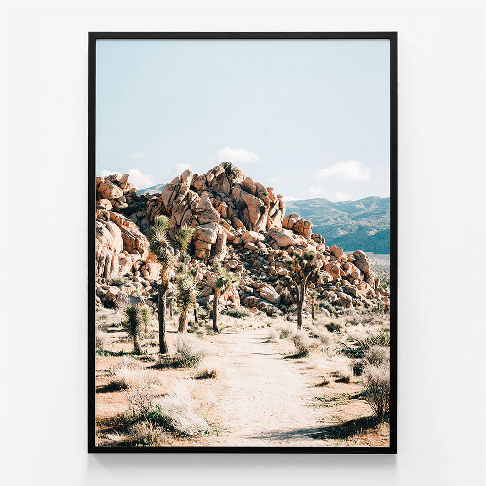 Rock Trail