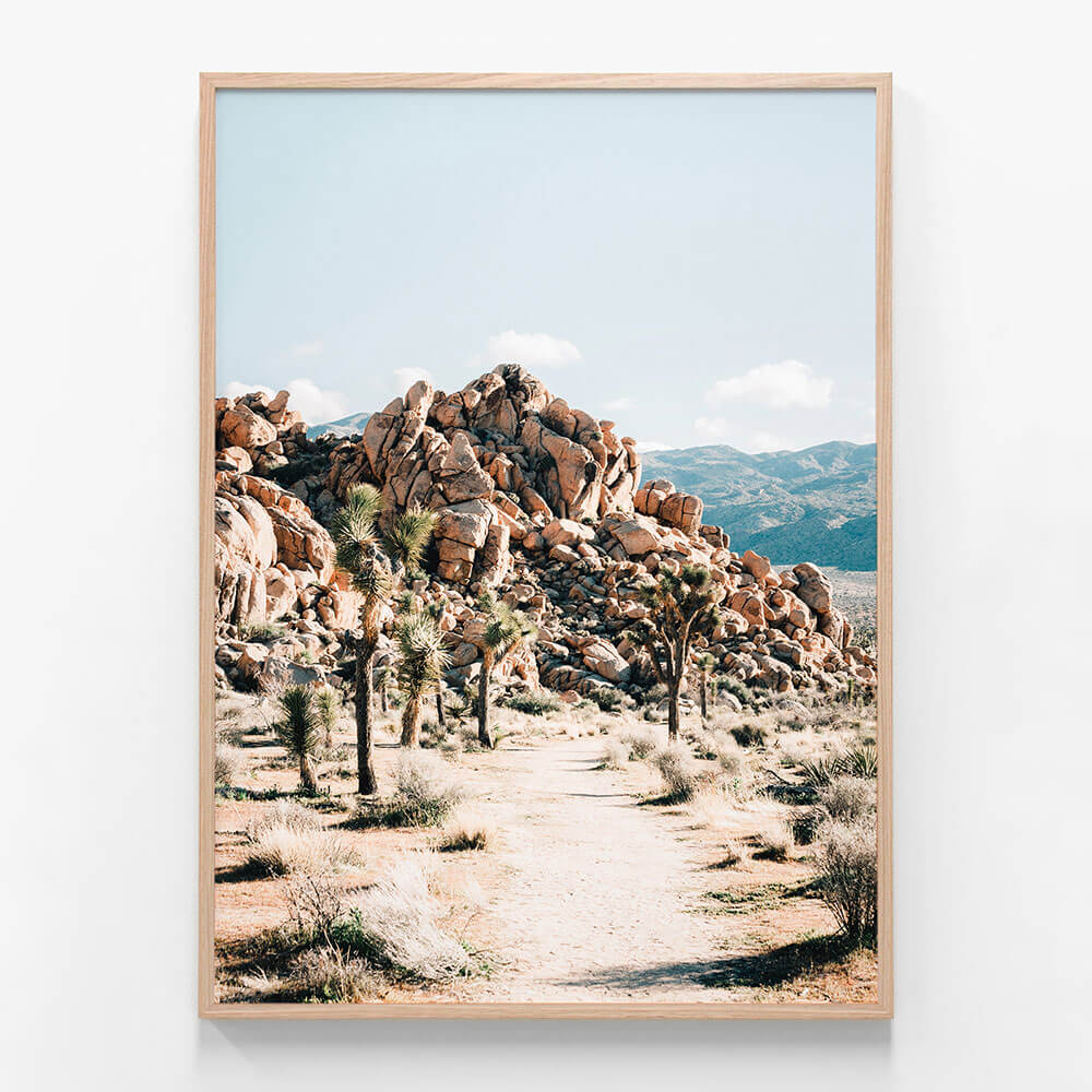 Rock Trail