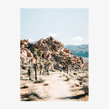 Rock Trail