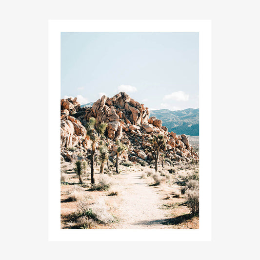 Rock Trail