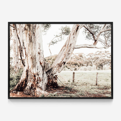 Rural Australia