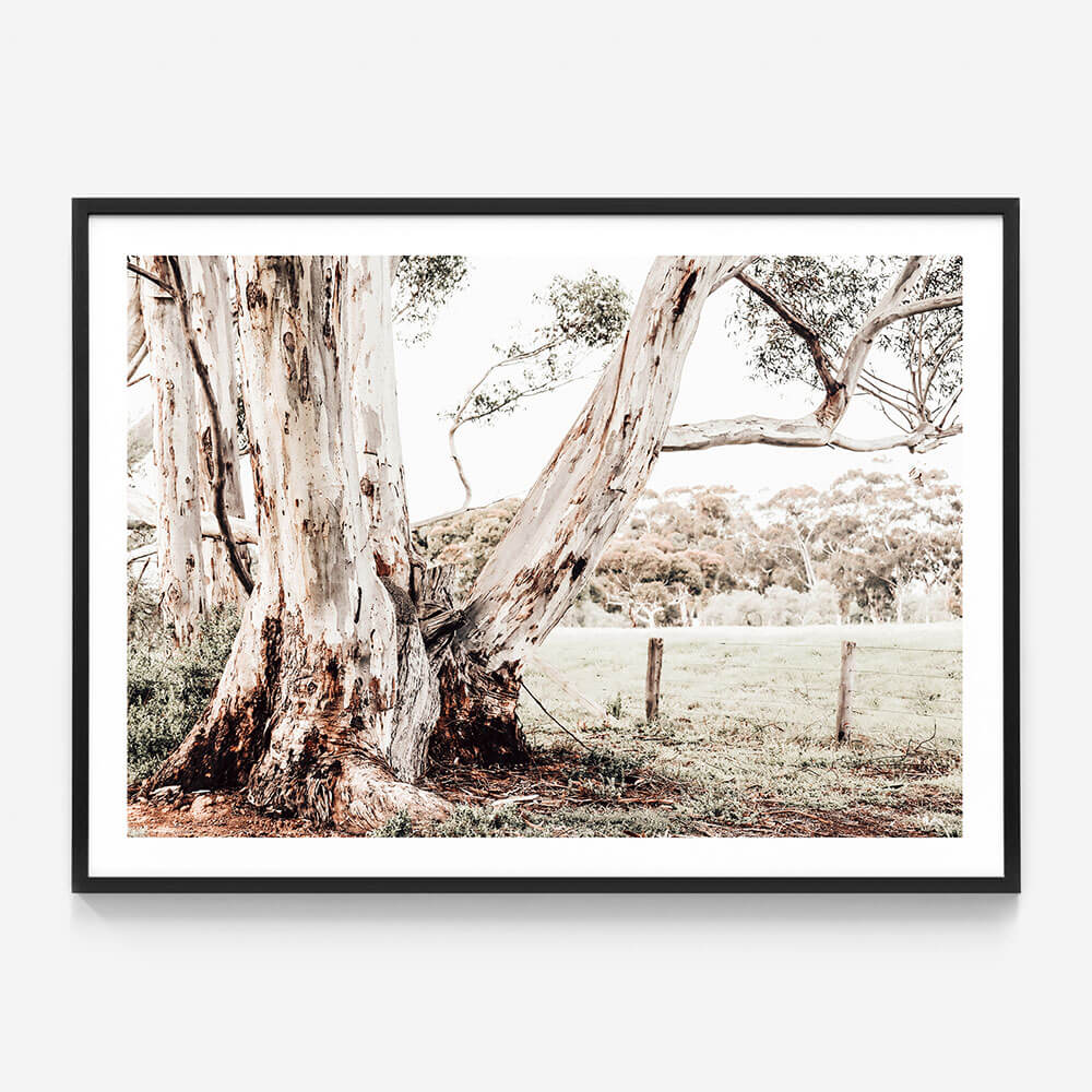Rural Australia