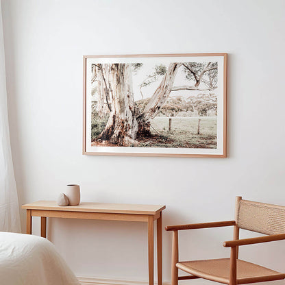 Rural-Australia-Gum-Tree-Landscape-Framed-Art-Print.jpg