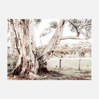Rural Australia
