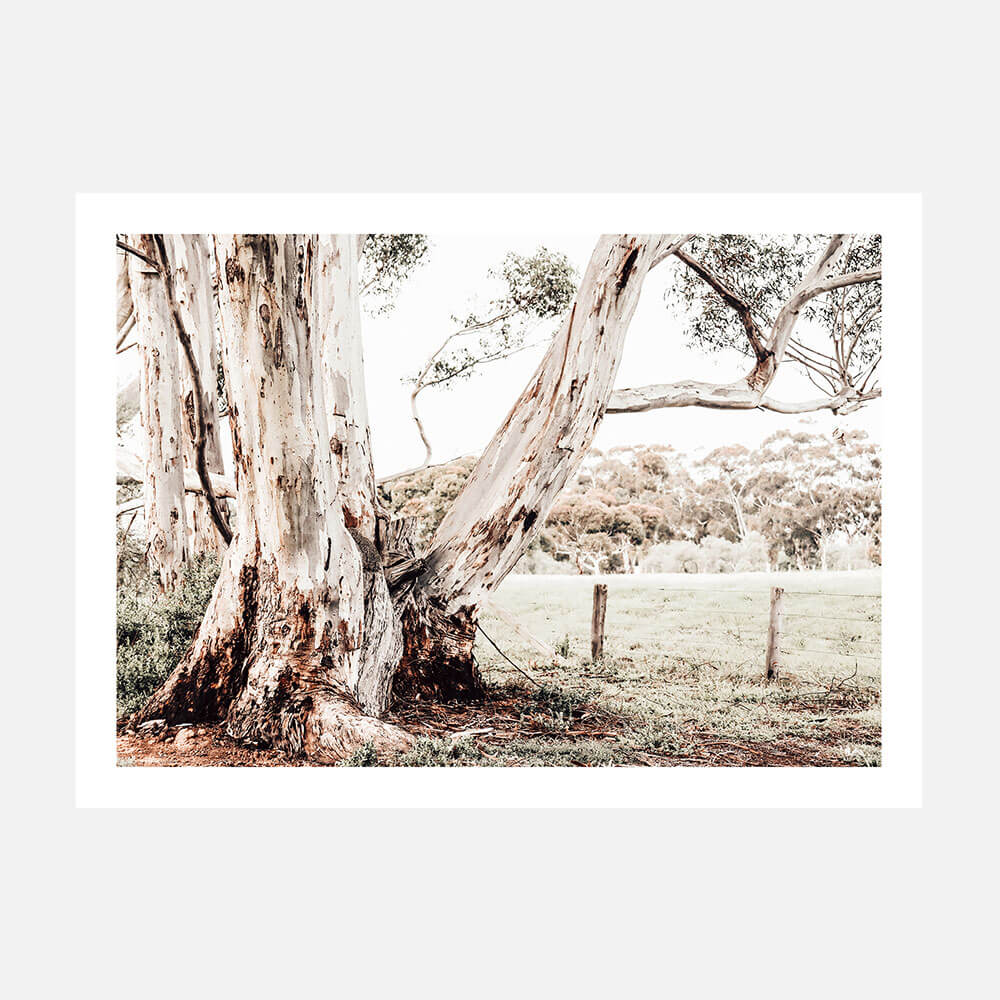 A photographic poster print featuring a rural Australian landscape with a large gum tree in the foreground and a fence post in the background.