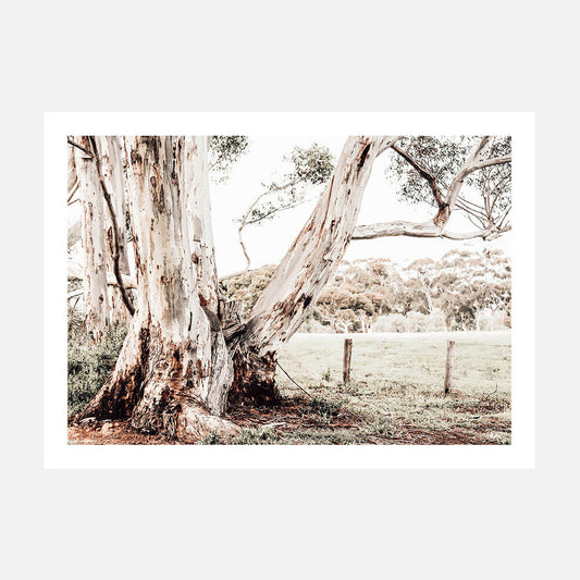A photographic poster print featuring a rural Australian landscape with a large gum tree in the foreground and a fence post in the background.