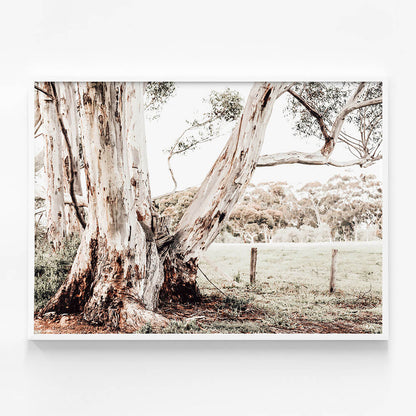 Rural Australia
