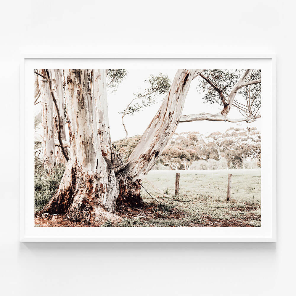 Rural Australia