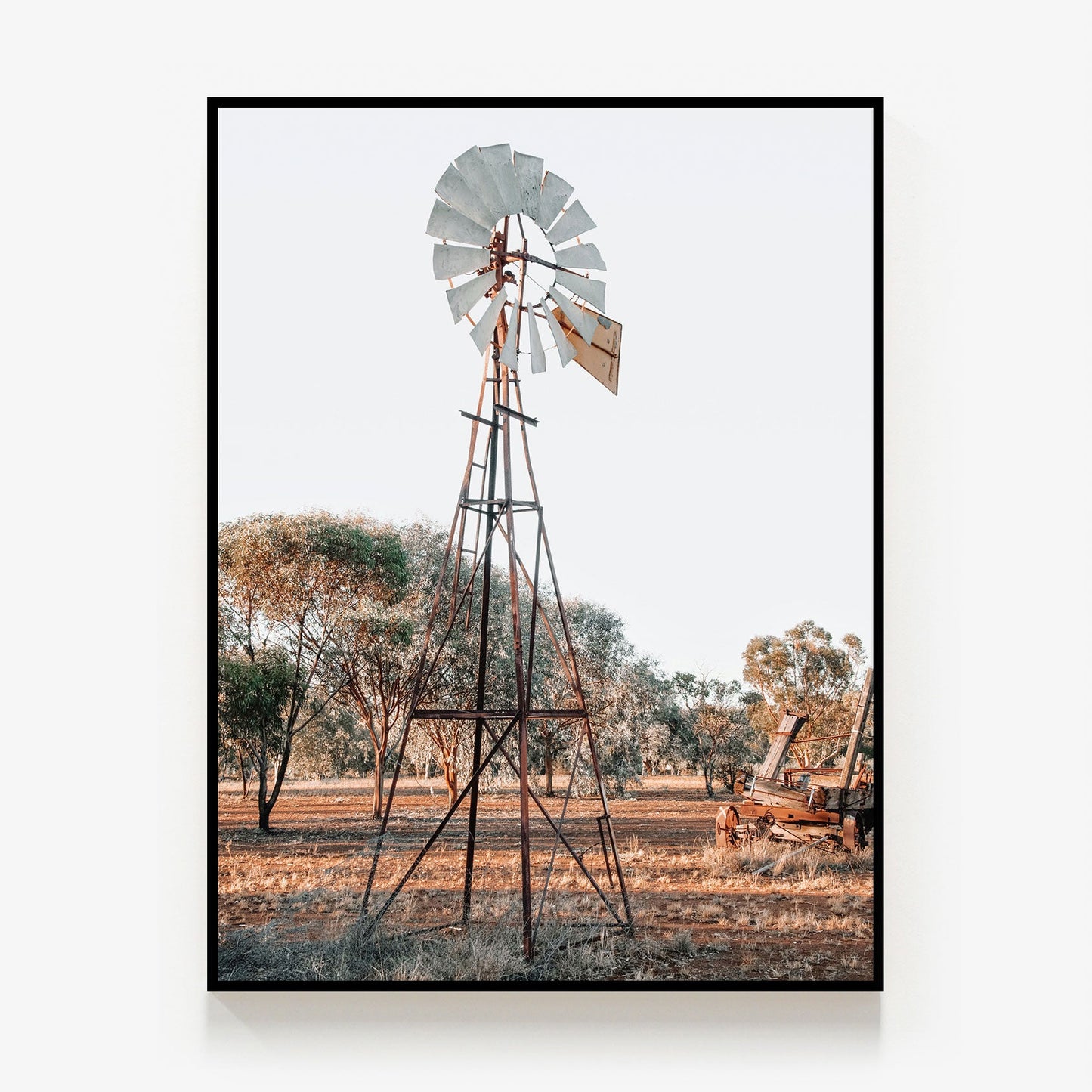 Rural Windmill Canvas