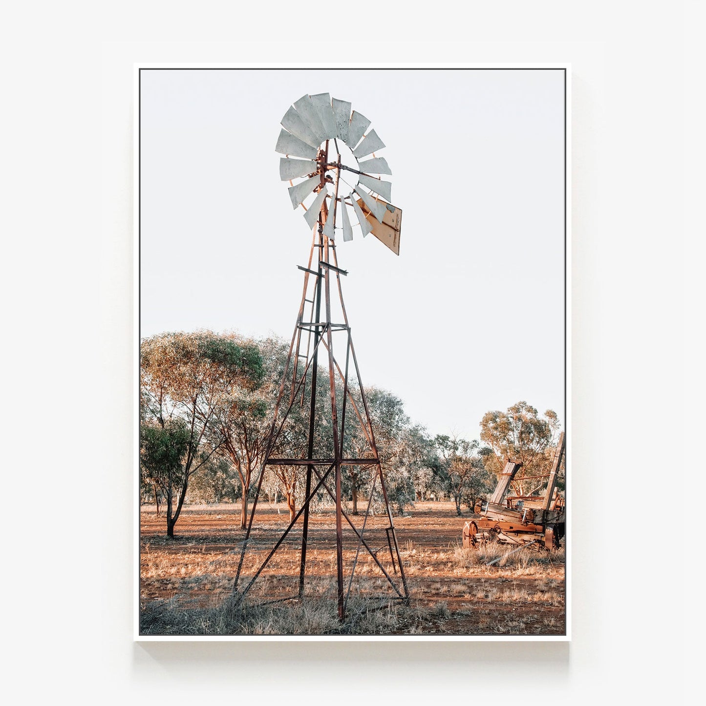 Rural Windmill Canvas