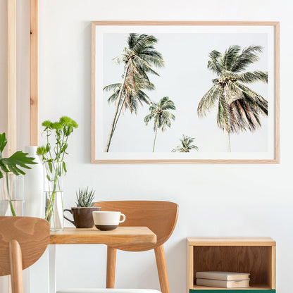 Summer Palms No. 3