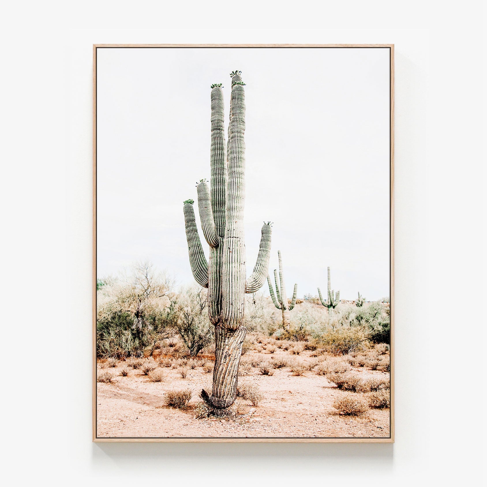 Saguaro Canvas print in oak frame