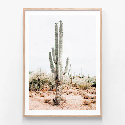 A framed photography print featuring a Saguaro cacti in a desert landscape.