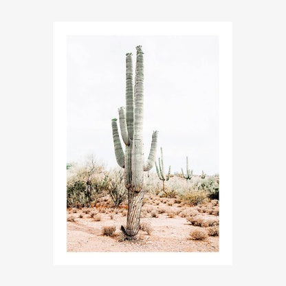 A photography print featuring a Saguaro cacti in a desert landscape.