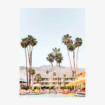 Saguaro Views