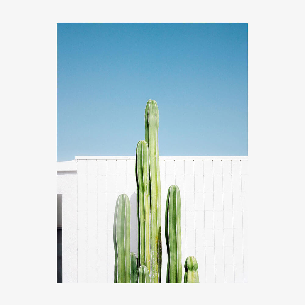 San Pedro