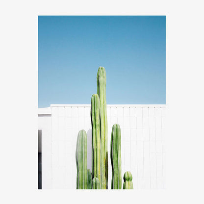 San Pedro