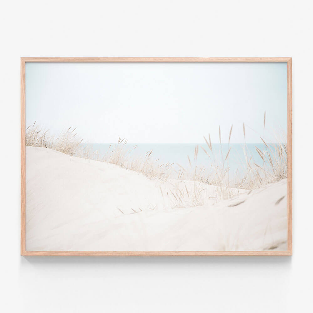 Sand Dunes