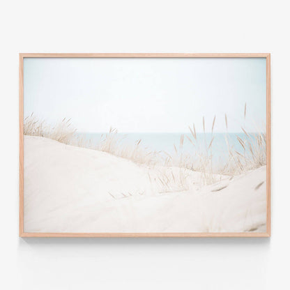 Sand Dunes
