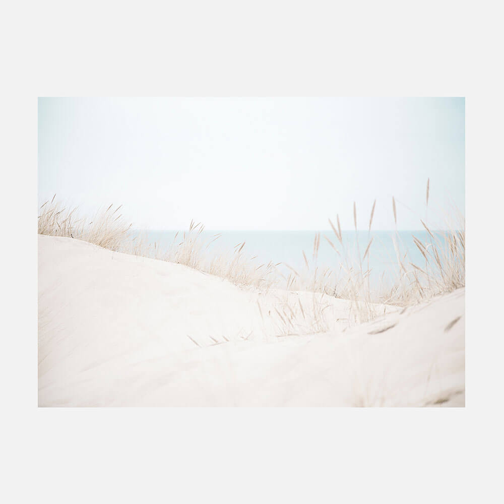 Sand Dunes