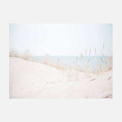 Sand Dunes