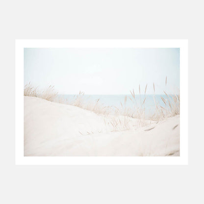 Sand Dunes