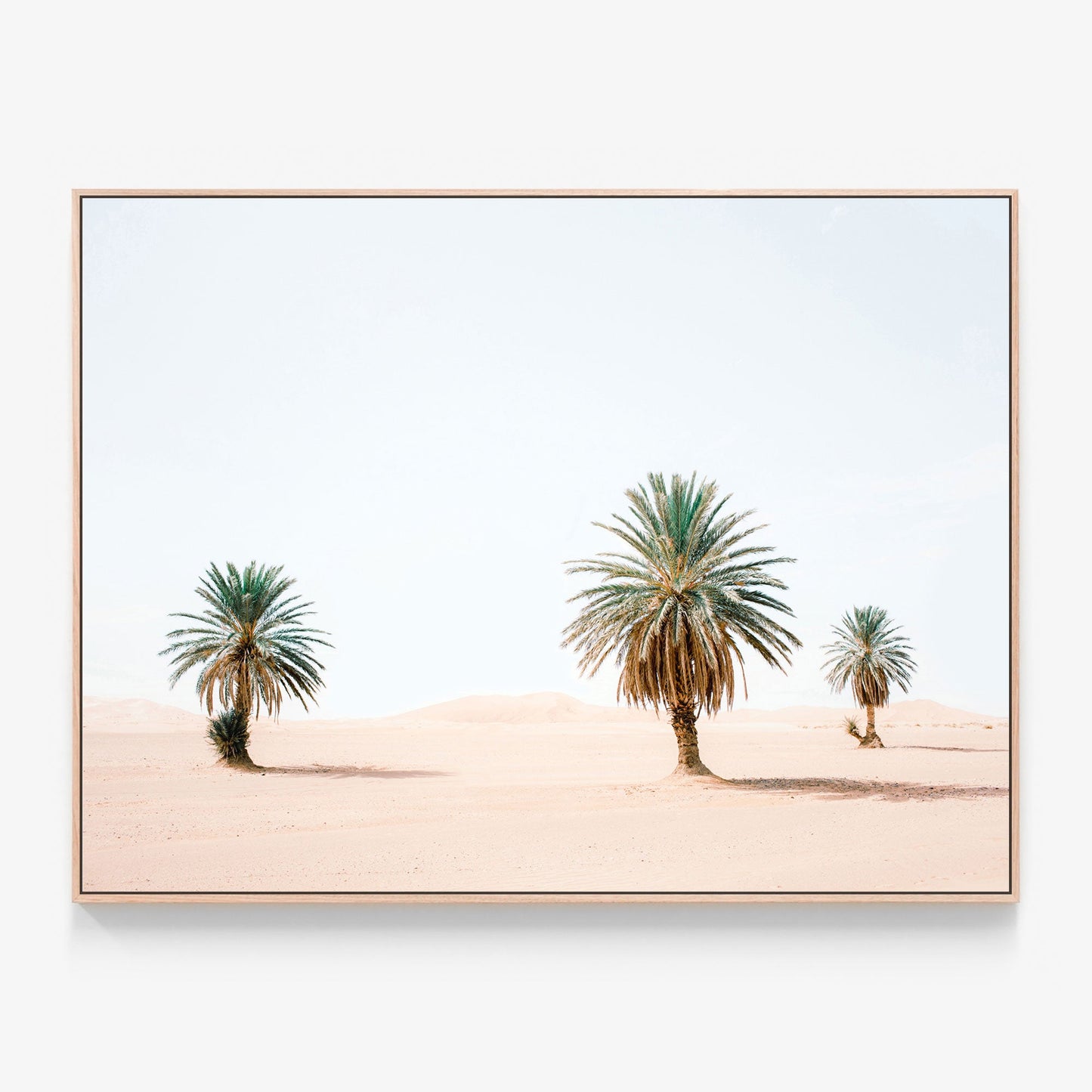 Sandy Palms Canvas wall art with oak float frame