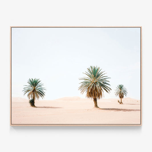 Sandy Palms Canvas wall art with oak float frame
