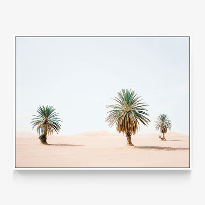 Sandy Palms Canvas