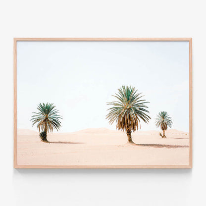 Sandy Palms