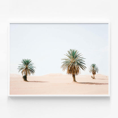 Sandy Palms
