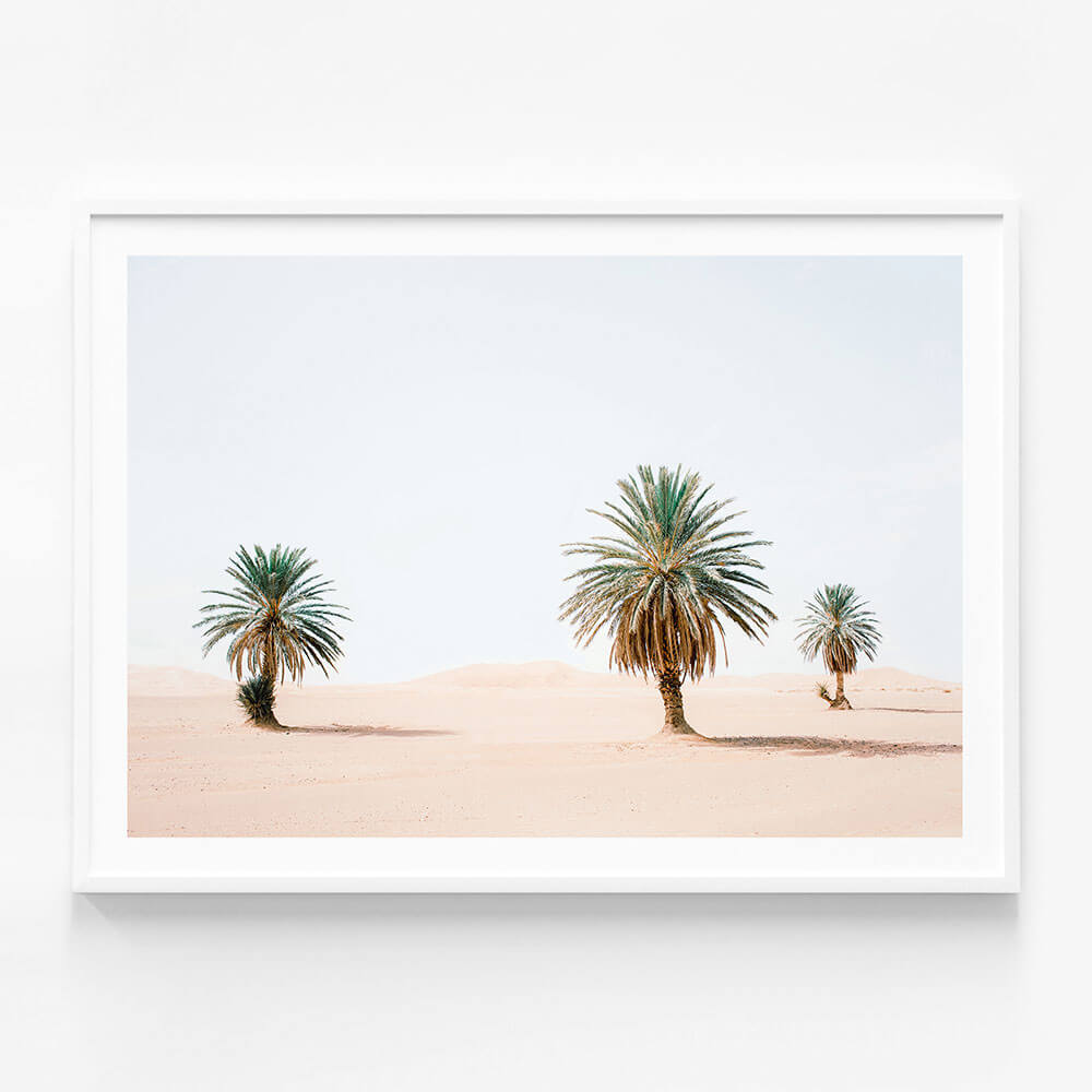 Sandy Palms