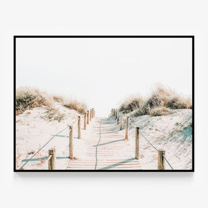 Sandy Walkway Canvas