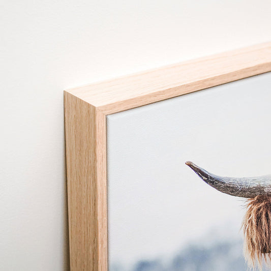 Scottish Cow Canvas wall art corner detail