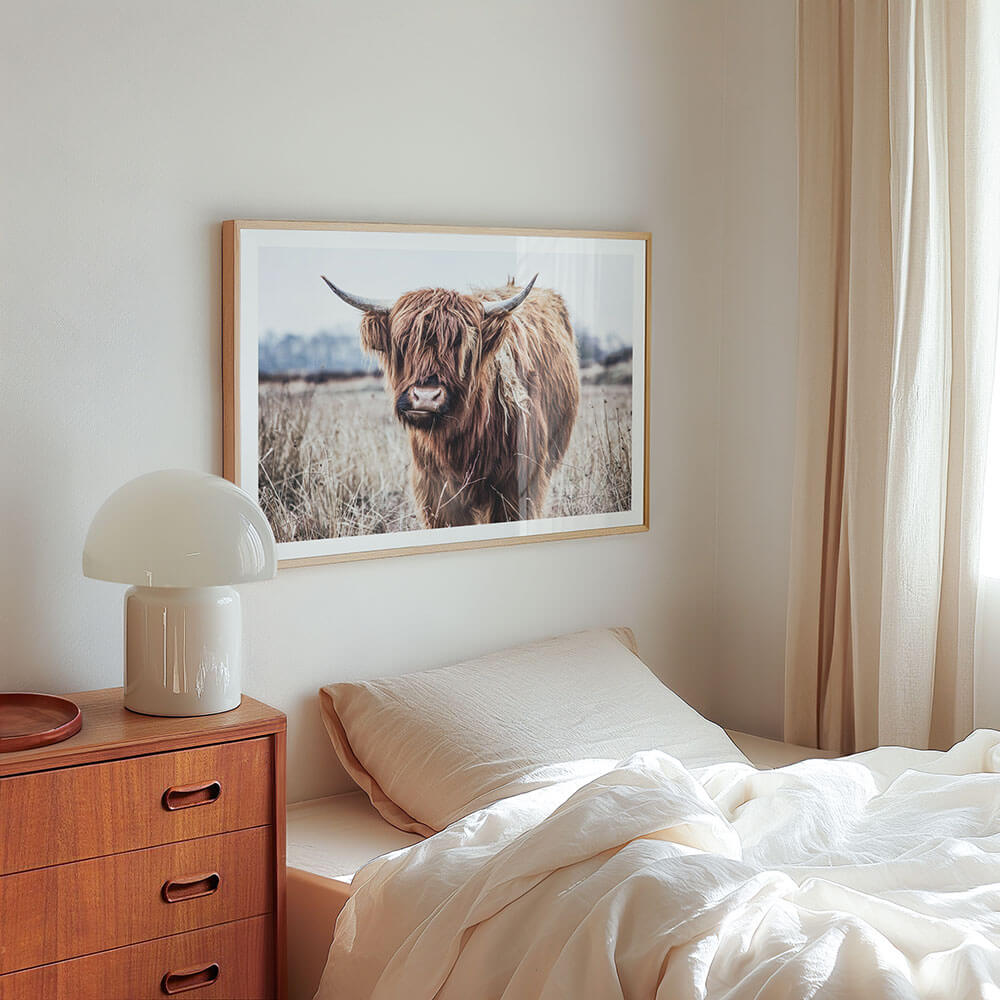 Scottish-Highland-Cow-Wall-Art.jpg
