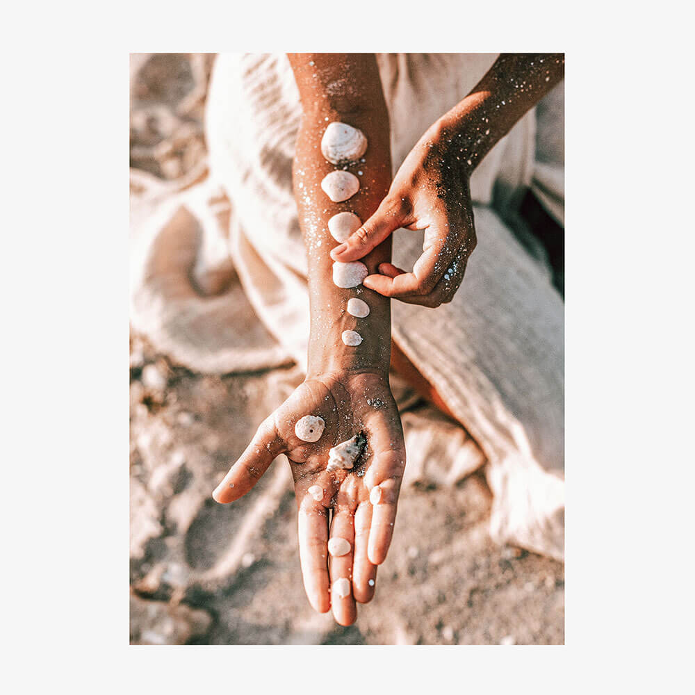 Sea Shells